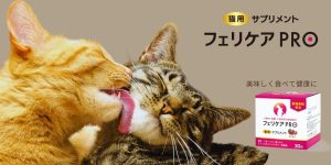 獣医師モニター募集ヘッダー